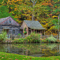 Farm in Woods